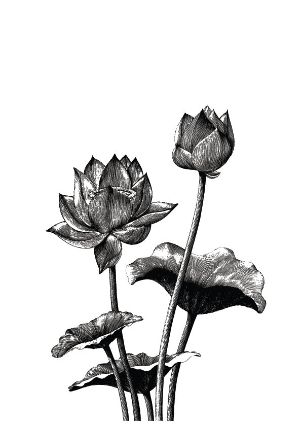 Plakát Černobílé květenství