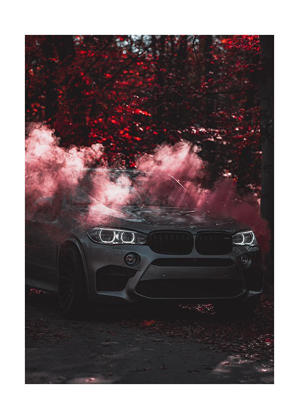 Plakát BMW rudá růže