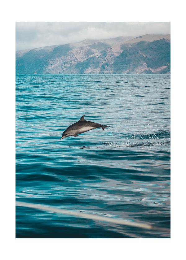 Plakát Delfíní skok