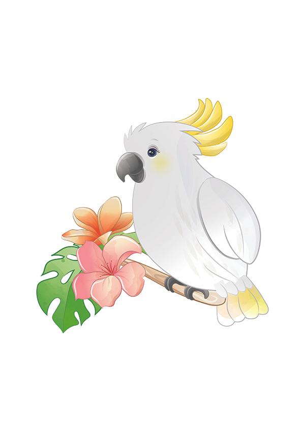 Plakát Bílý papoušek na větvi