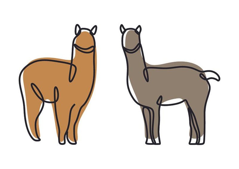 Plakát Dvě alpacy