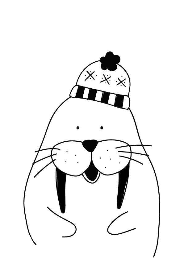 Plakát Černobílý mrož