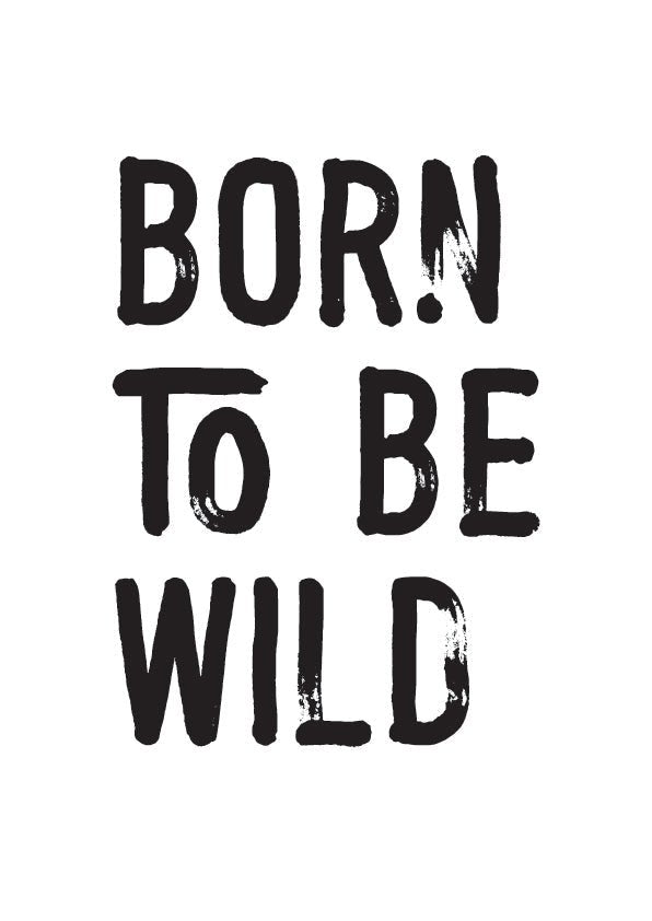 Plakát Born to be wild