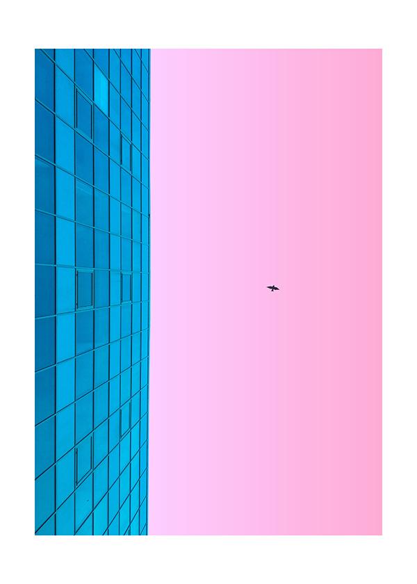 Plakát A bird and a building