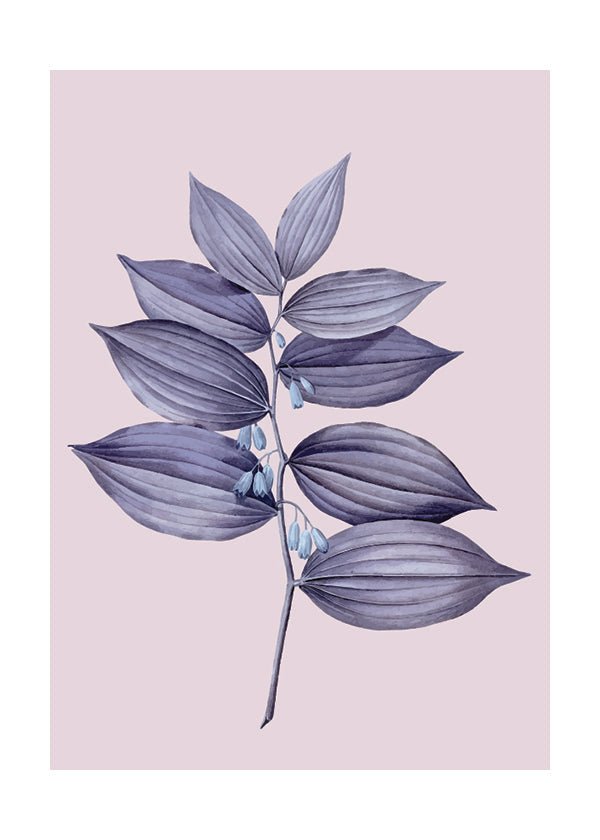Plakát Fialová rostlinka