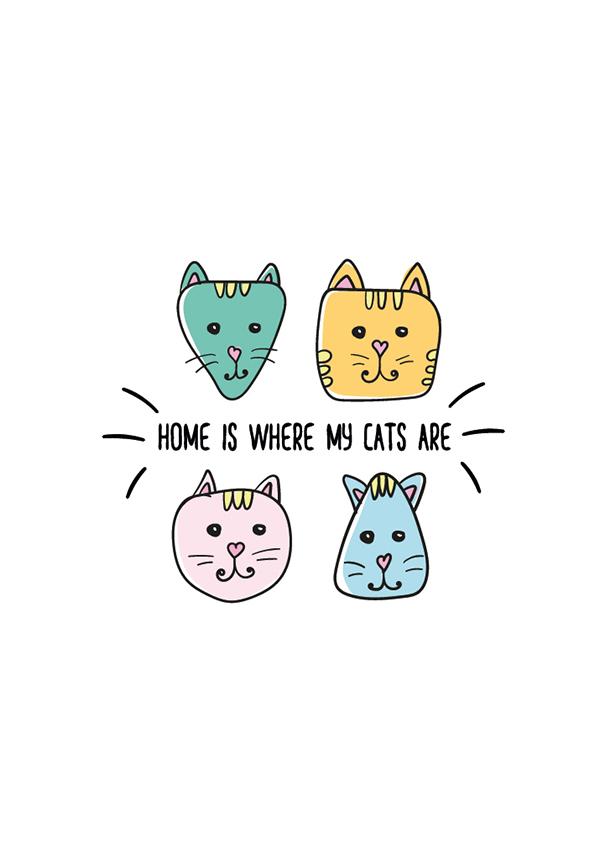 Plakát Home is where my cats are