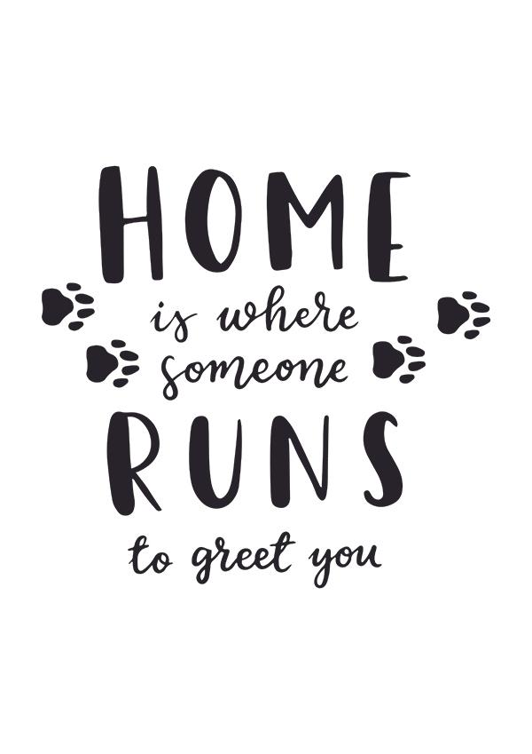 Plakát Home is where someone runs to greet you