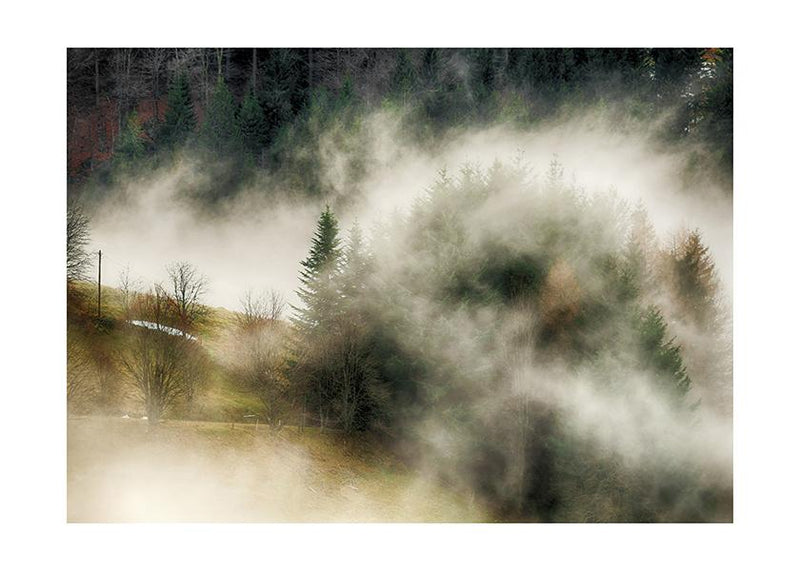 Plakát Hustá mlha v lesích