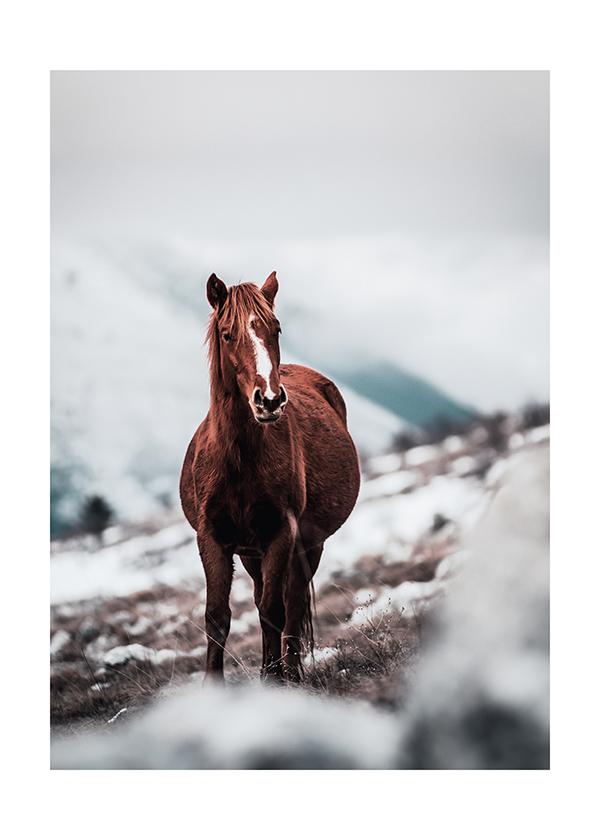 Plakát Kůň v horách 2