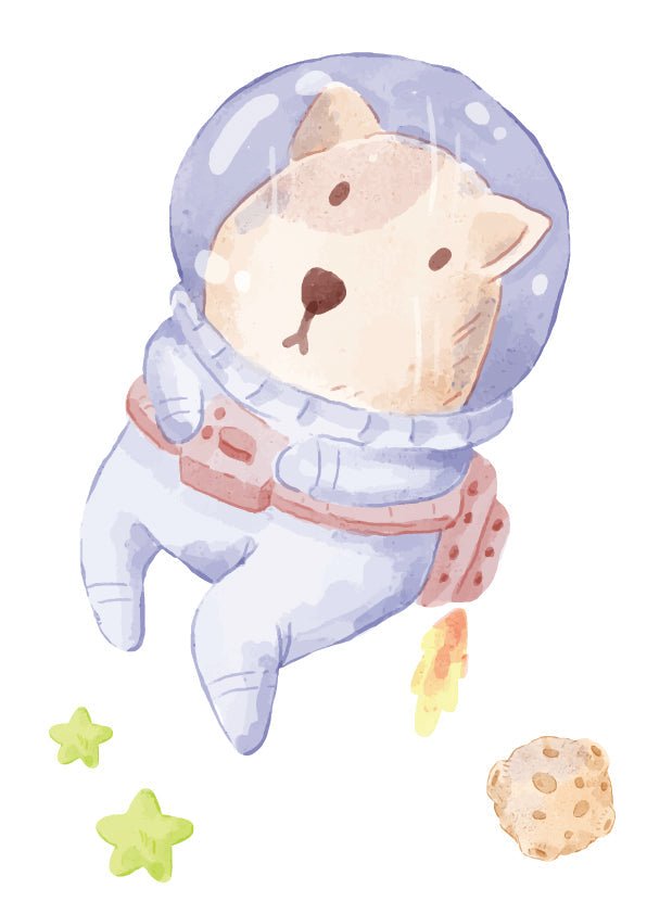 Plakát Medvěd a vesmír