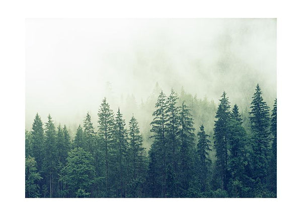 Plakát Mlha nad lesy