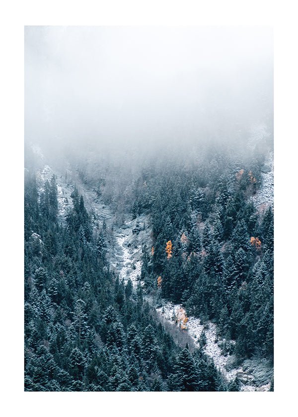 Plakát Mlhavo nad lesy