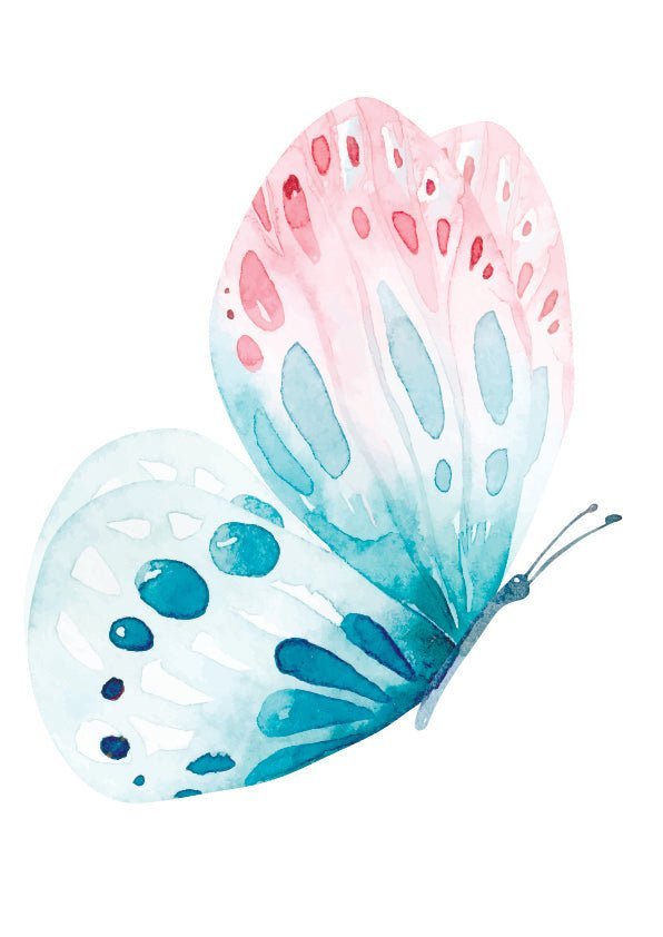 Plakát Modrorůžový motýl