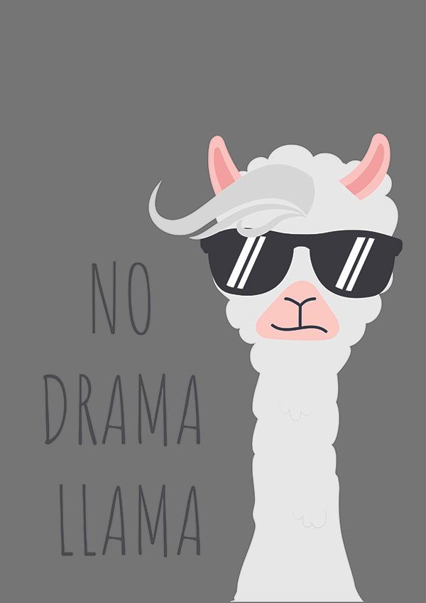 Plakát No drama llama