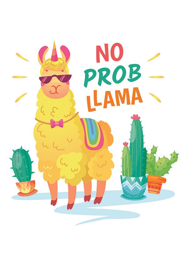 Plakát No probllama