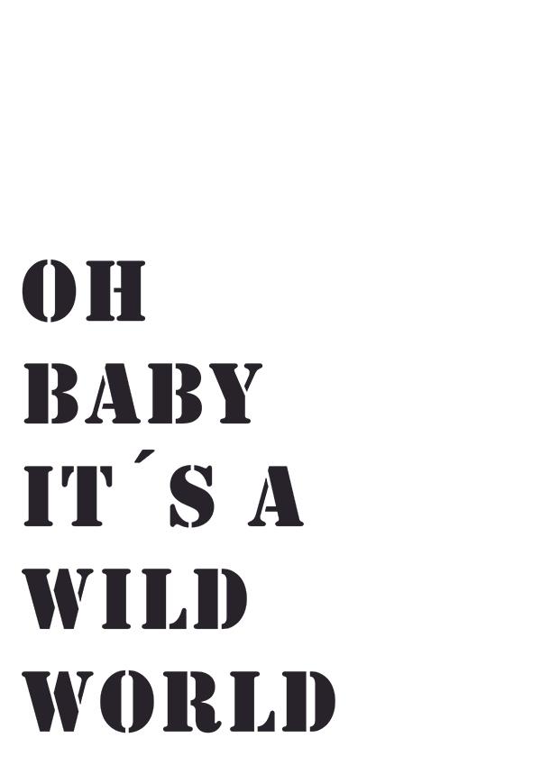 Plakát Oh baby it´s a wild world