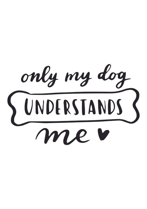 Plakát Only my dog understands me