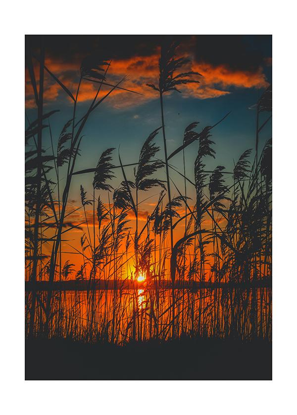 Plakát Orange sunset