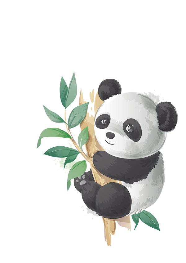 Plakát Panda na stromě