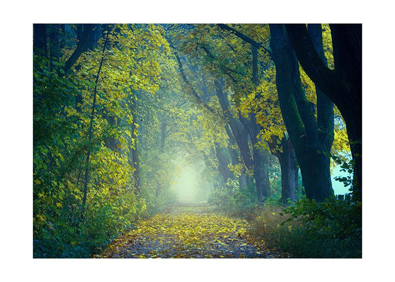 Plakát Park na podzim