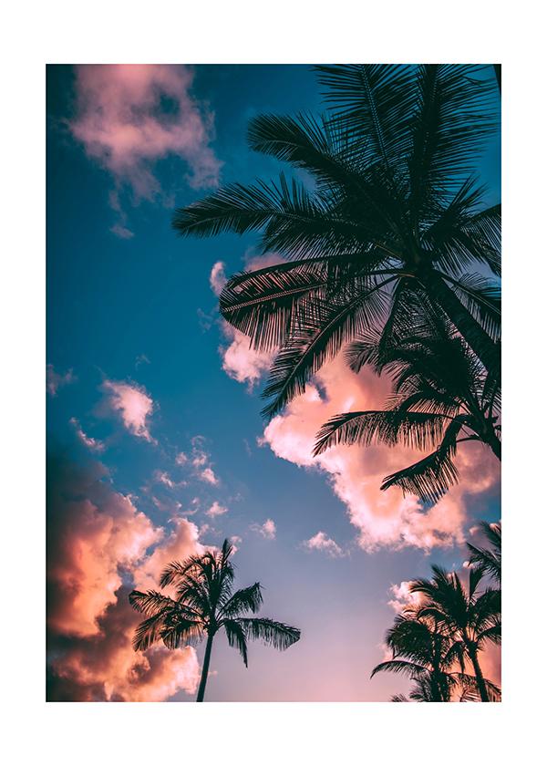 Plakát Pohled skrze palmy