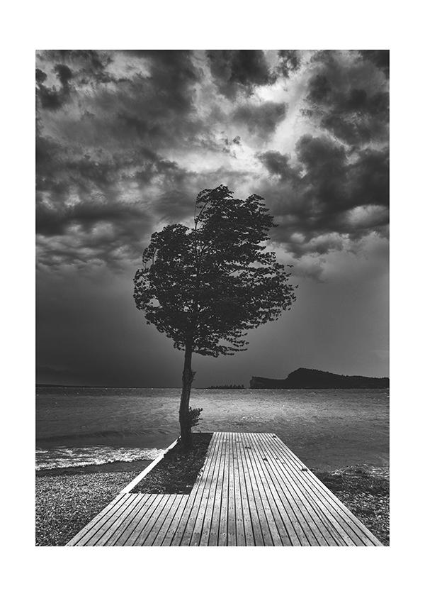 Plakát Strom vlající ve větru