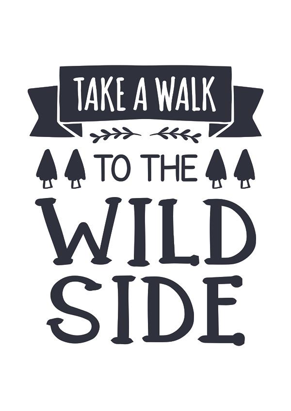 Plakát Take a walk to the wild