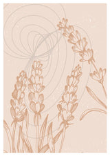 Plakát Vintage flowers Set2