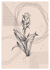 Plakát Vintage flowers Set4