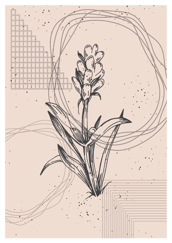 Plakát Vintage flowers Set4