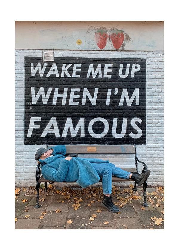 Plakát Wake me up when I´m famous