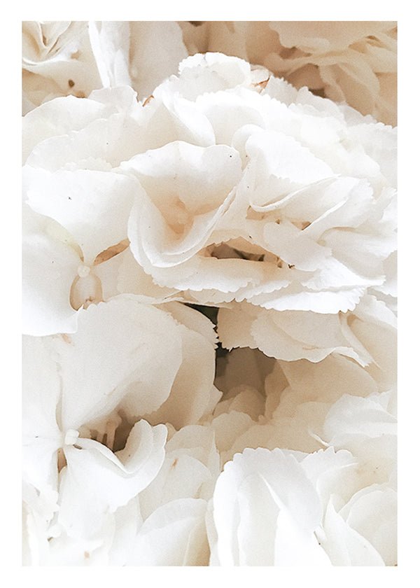 Plakát Záplava bílých květů