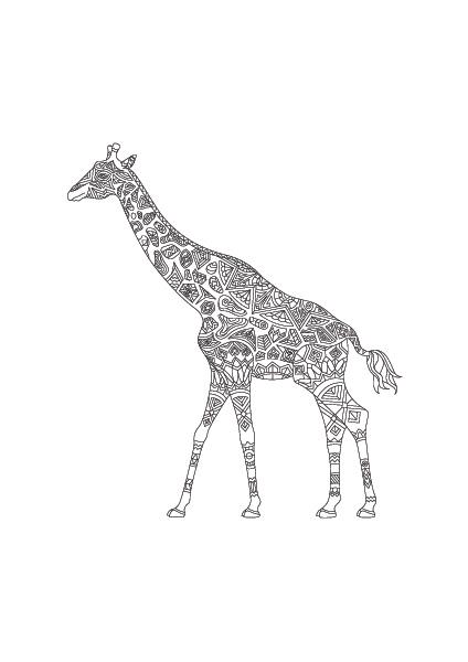 Plakát Žirafa