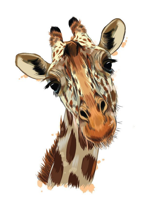 Plakát Žirafa v detailu