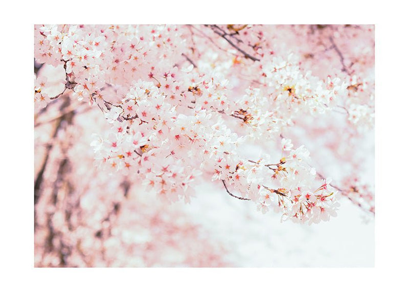 Sestava If you believe