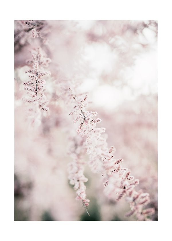 Sestava Květinový sad