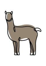 Set Alpacy