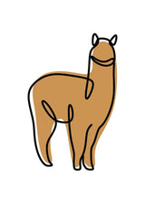Set Alpacy