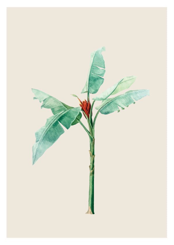 Set Botanical